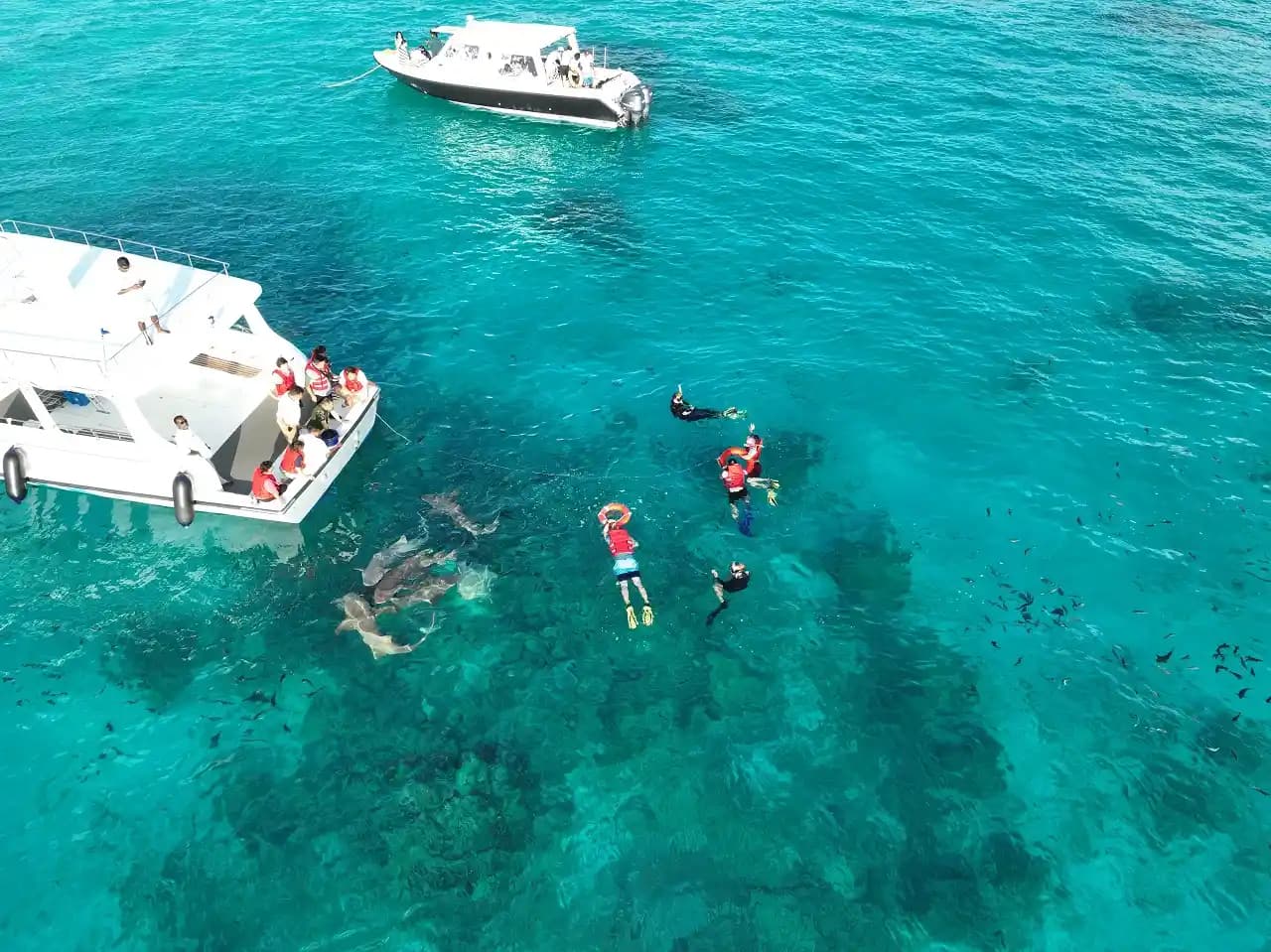 5-Night 6-Day Exclusive Maldives Adventure - Timeless Tours Maldives gallery image