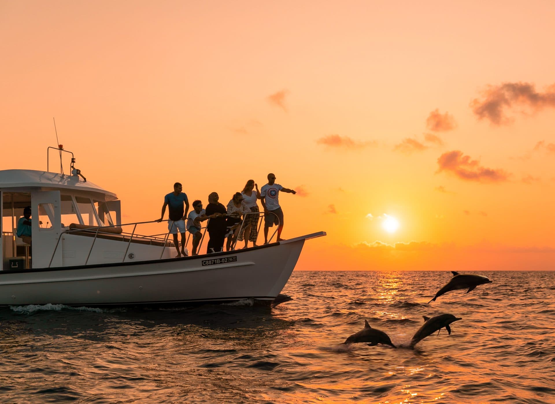 Dolphin Cruise - Timeless Tours Maldives