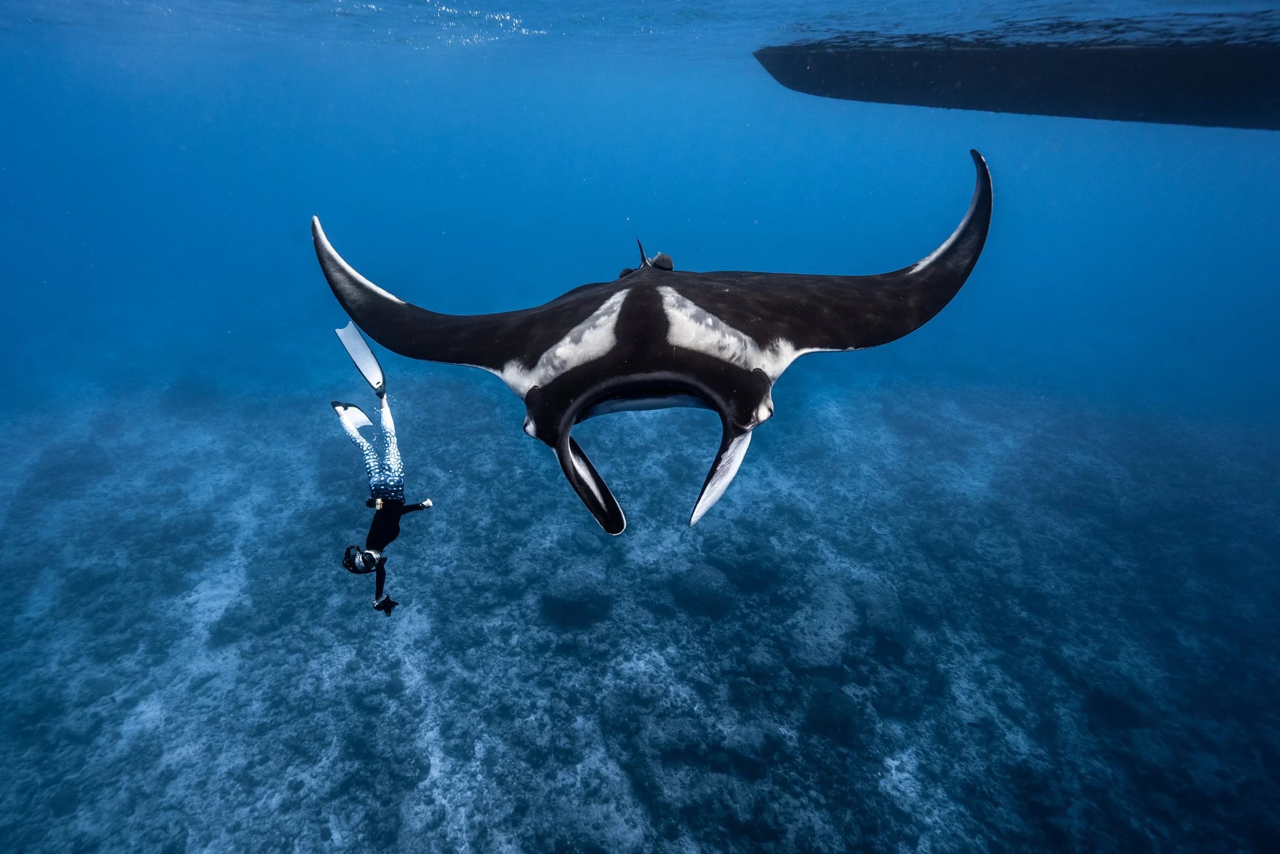 Manta Cruise - Timeless Tours Maldives