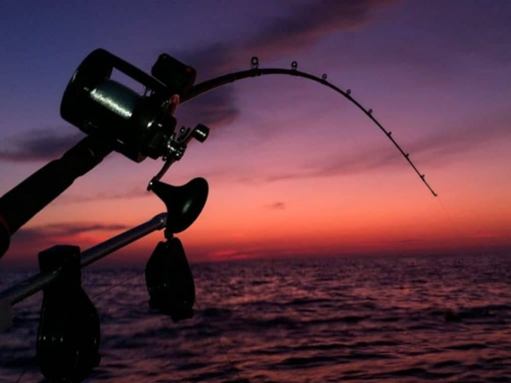 Night Fishing - Timeless Tours Maldives